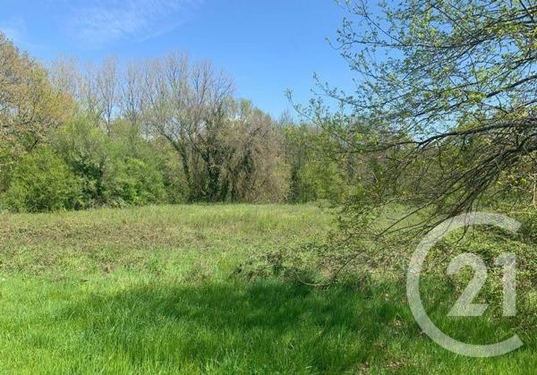 Terrain à vendre  1771 m2 MUSSIDAN - 24