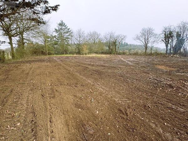 Maison à vendre à Sainte-Jamme-sur-Sarthe dans la Sarthe (72380), ref : 72126-3135