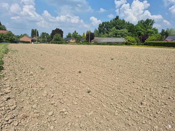 Terrain à vendre 1584m² Auchy-lez-Orchies (59310)