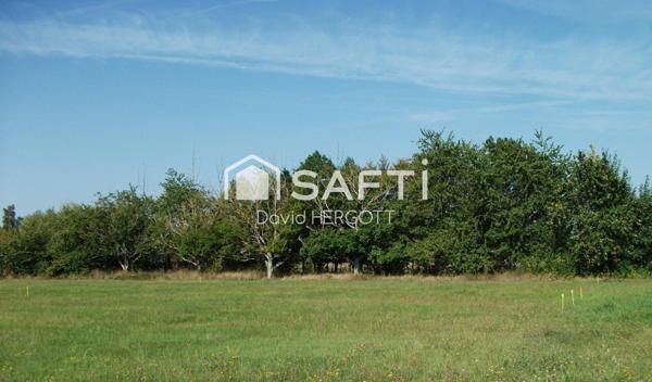 Terrain de 2478m² dont 727m² constructible non viabilisé