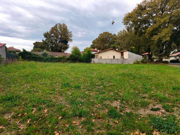 Terrain Dax 600 m2