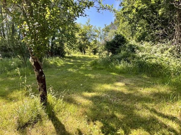 Maison à vendre 180 000 € Neuvic 6 p 135 m² DPE E