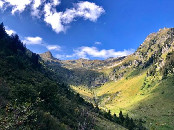 Appartement  6 pièce(s) 85 m2 & 286 m² avec les dépendances