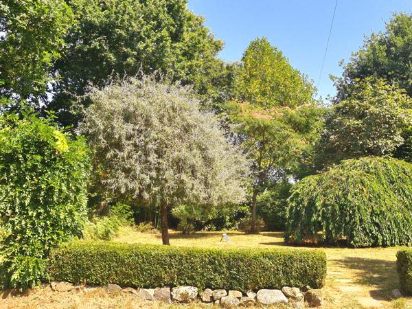 Maison à vendre à Saint-Berthevin-la-Tannière (53220) - Mayenne