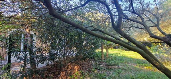 villa 141 m² hab sur 2891 m² de terrain 84430 mondragon Mondragon (84430)