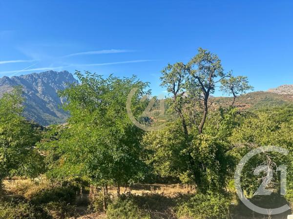 Maison à vendre  3 pièces - 37,60 m 2   OLMI CAPPELLA  - 202