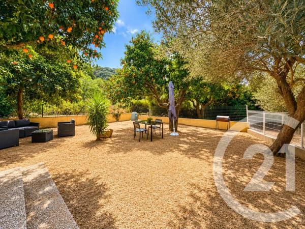 Maison à vendre  3 pièces - 37,60 m 2   OLMI CAPPELLA  - 202