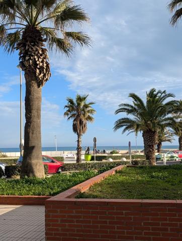 Appartement T2 première ligne mer, terrasse et ascenseur
