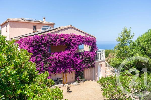 Maison à vendre  10 pièces - 295,05 m 2   AJACCIO  - 201