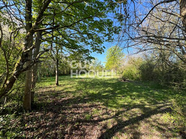 PROCHE MILLY LA FORET