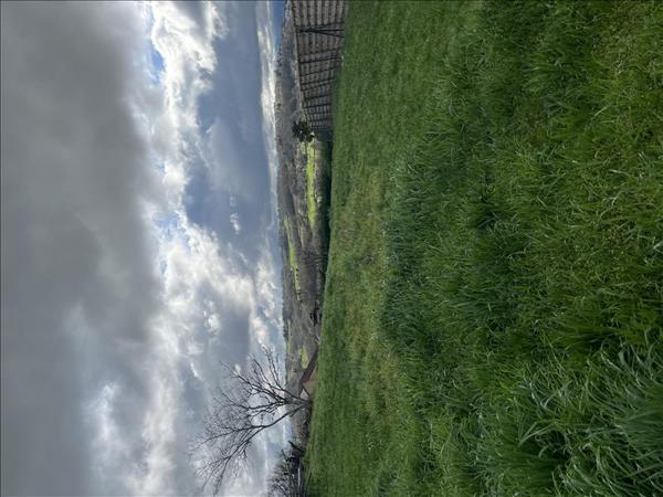 Terrain à vendre |  Ussac |  1946 m²