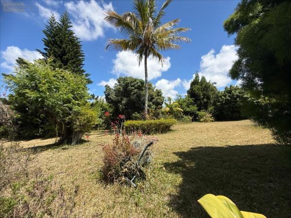 Maison à vendre à Le Tampon à la Réunion (97430), ref : 97410-1090001