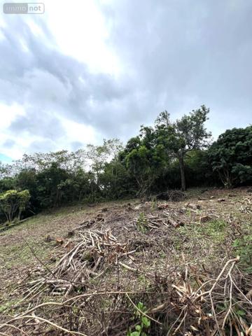 Terrain à Batir à vendre à Saint-Leu à la Réunion (97424), ref : 97411-351