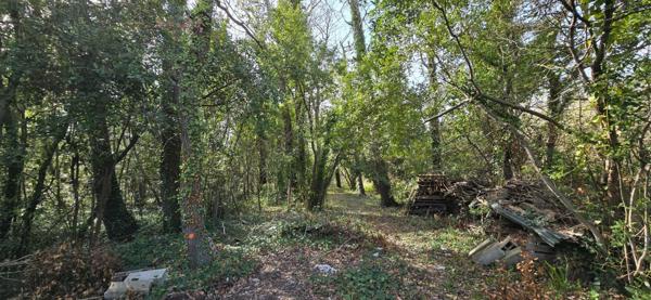 Terrain plat à bâtir libre constructeur sur une parcelle de 1918 m² dont 591 m² de partie constructible