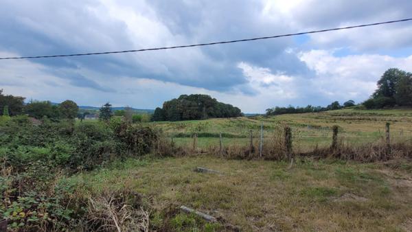 Véritable béarnaise avec 6 chambres sur Terrain clôturé de 5000m2