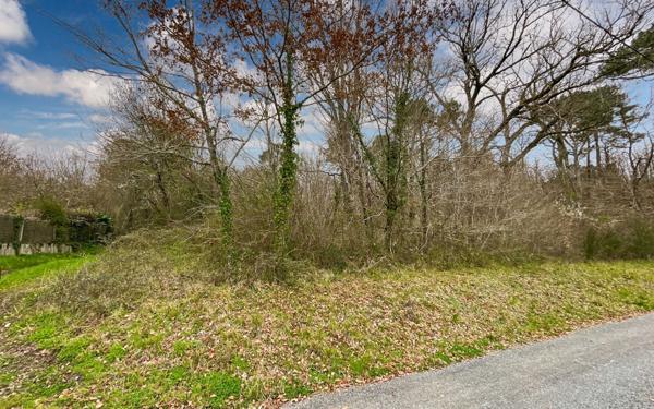 Terrain à vendre    Saint-Germain-du-Salembre