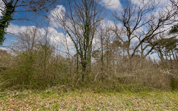 Terrain à vendre    Saint-Germain-du-Salembre