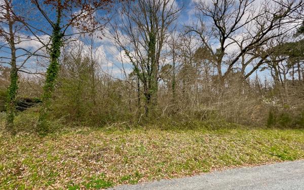 Terrain à vendre    Saint-Germain-du-Salembre