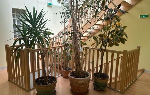 Vente Appartement P3 Ax-les-thermes   