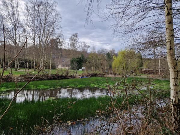 3ch et 1 bureau double garage + étang