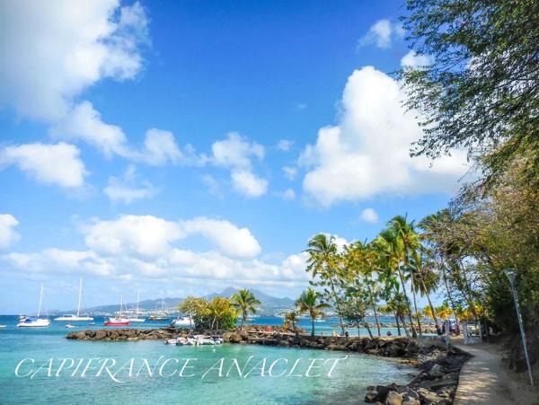 ❤COUP DE COEUR❤ Appartement F3 aux Trois-Îlets 🏝🍹