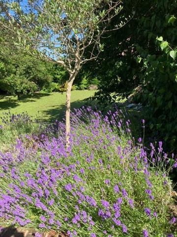 Maison individuelle Béthune Secteur Autres villes du Nord 350 m²