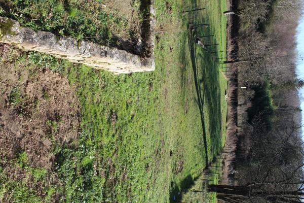 20 mn de Villers Cotterêts