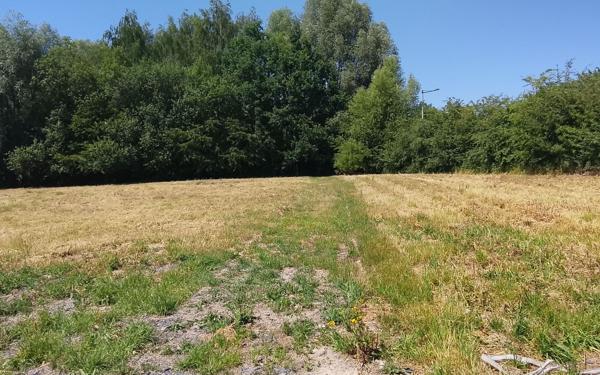Terrain à vendre