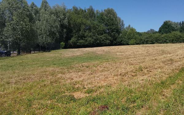 Terrain à vendre