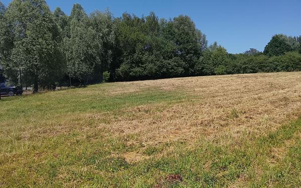 Terrain à vendre
