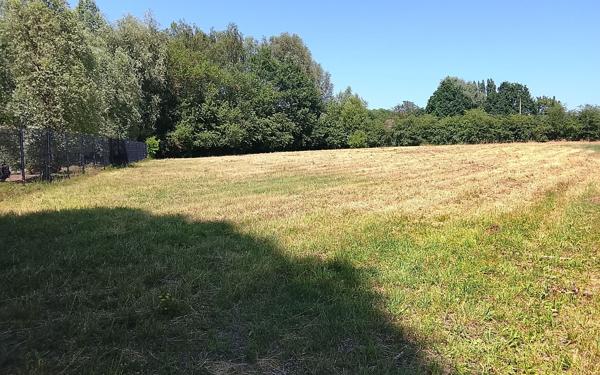 Terrain à vendre