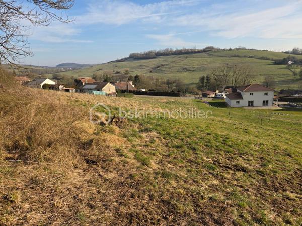 Terrain de 2 925 m²
