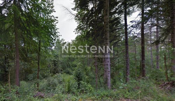 À VENDRE : TERRAIN FORESTIER DE 16 ha 29 a 35 ca