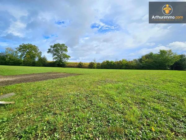 Vente                                                      Terrain
                        
                                         486 m2                     à Cressonsacq