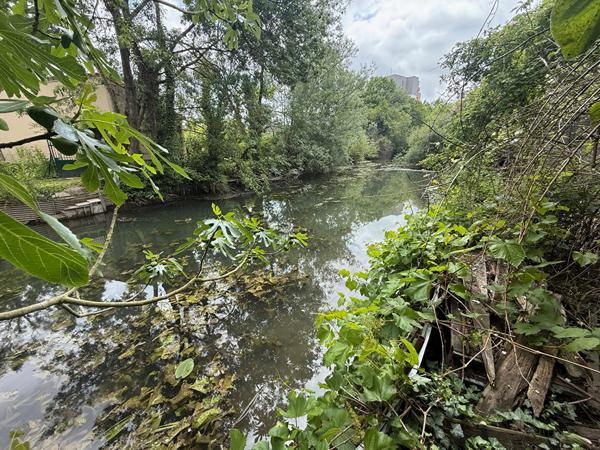 Terrain de 1 678 m² avec chalet - Marais de Bourges