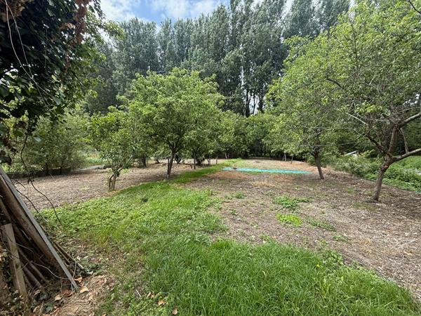 Terrain de 1 678 m² avec chalet - Marais de Bourges