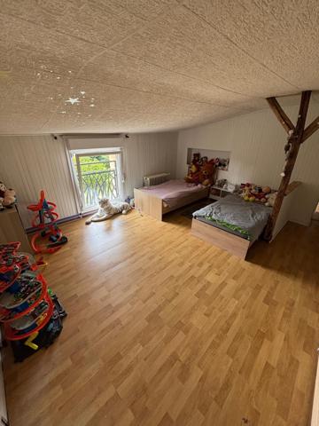 Maison à finir de rénover avec grand terrain arboré