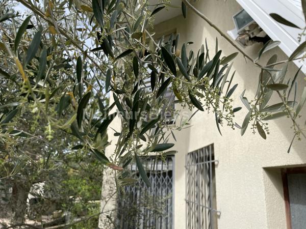 La Pompignane- villa 6 pièces 160 m2 sur terrain de 616 m2