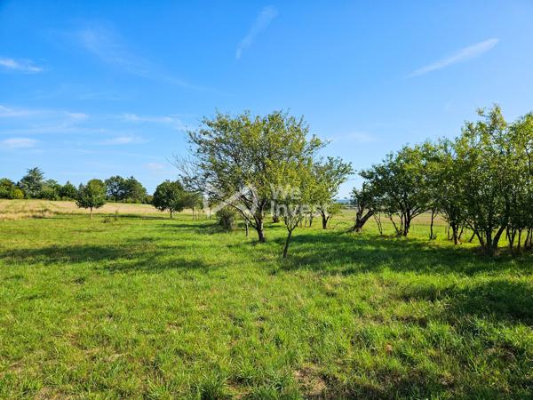 Maison familiale avec terrain arboré et verger - Châtellerault