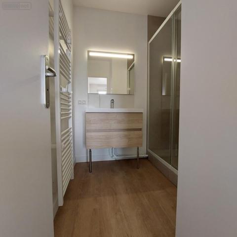 Appartement à louer à Reims dans la Marne (51100), ref : 51046-L576   
Centre et Grand Centre