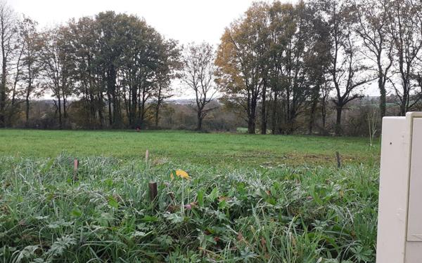 Terrain à vendre    La Couyère