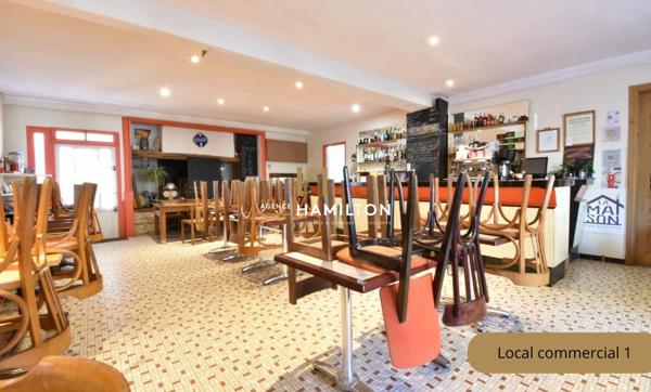 ENSEMBLE IMMOBILIER A FORT POTENTIEL AU PIED DE LA CELEBRE CITE DE CORDES-SUR-CIEL Cordes sur ciel