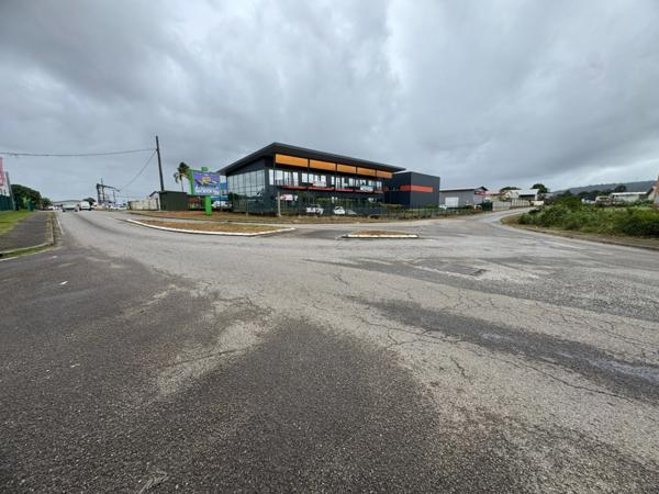 Magnifique surface commerciale de 340 m2 à louer Sortie de Cayenne