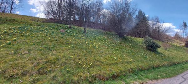 À vendre Terrain - Gérardmer 88400