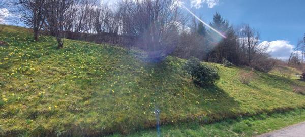 À vendre Terrain - Gérardmer 88400