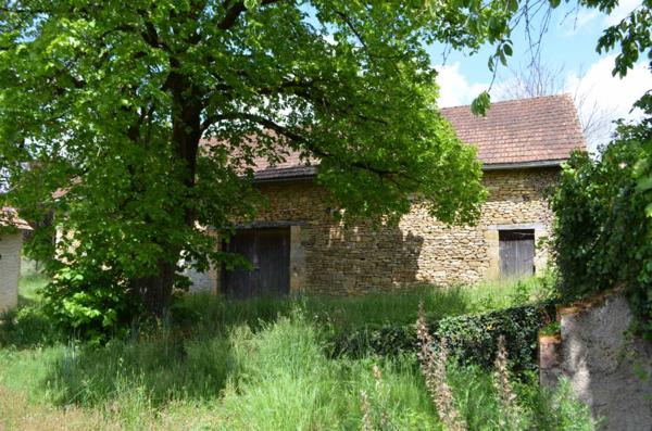 Maison ancienne - Montignac-lascaux Périgord Noir, à 3 km de Montignac-Lascaux, Fermette à rénover entièrement comprenant une ancienne maison et une grande grange. Terrain de plus de 5000 m².