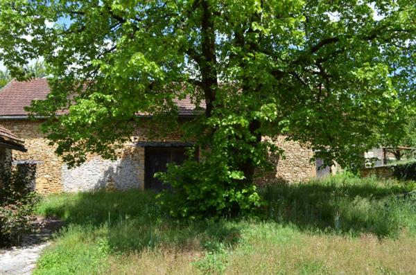 Maison ancienne - Montignac-lascaux Périgord Noir, à 3 km de Montignac-Lascaux, Fermette à rénover entièrement comprenant une ancienne maison et une grande grange. Terrain de plus de 5000 m².