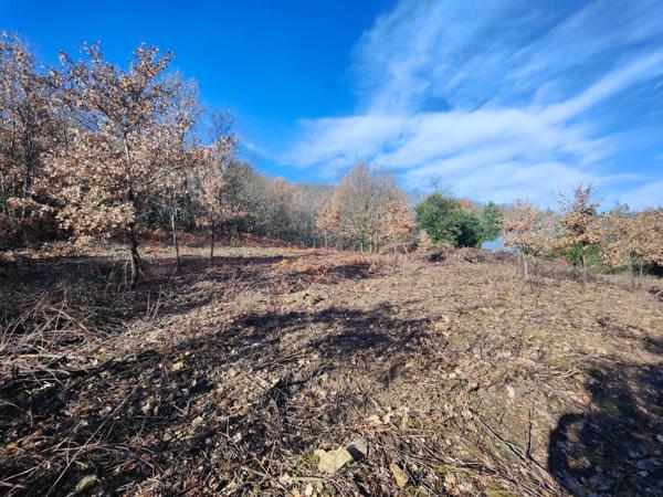 Terrain à vendre de 9 375,00 m² GRAISSESSAC (34)