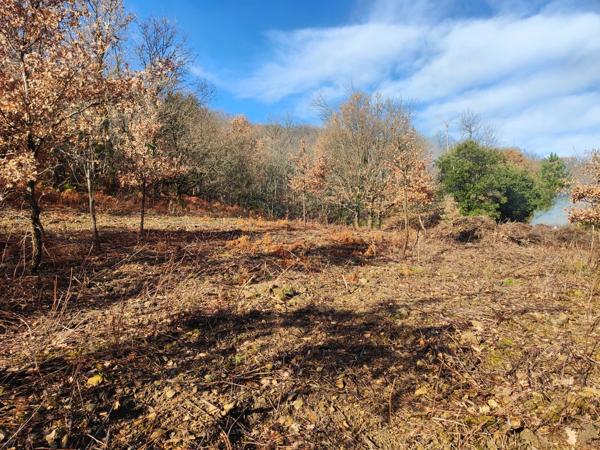 Terrain à vendre de 9 375,00 m² GRAISSESSAC (34)