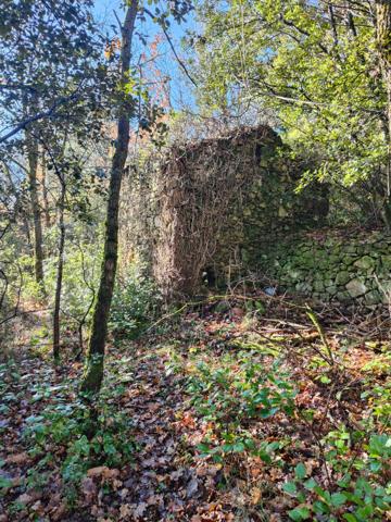 Terrain à vendre de 9 375,00 m² GRAISSESSAC (34)